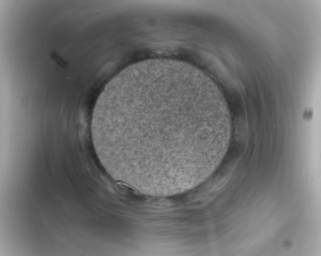 X0000103161298200809192044