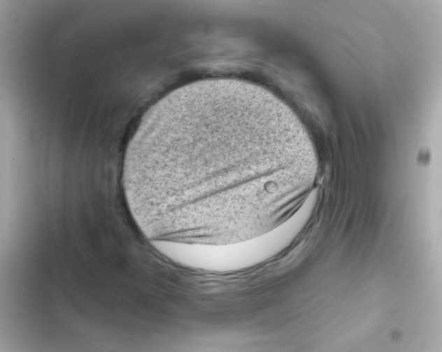 X0000103161300200809192044