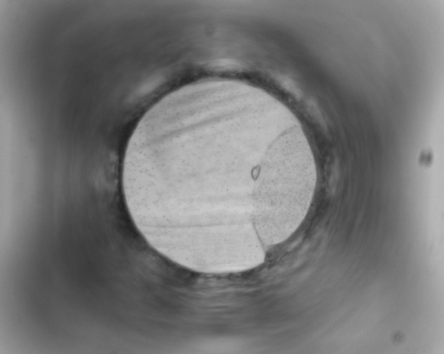 X0000103161301200809192044