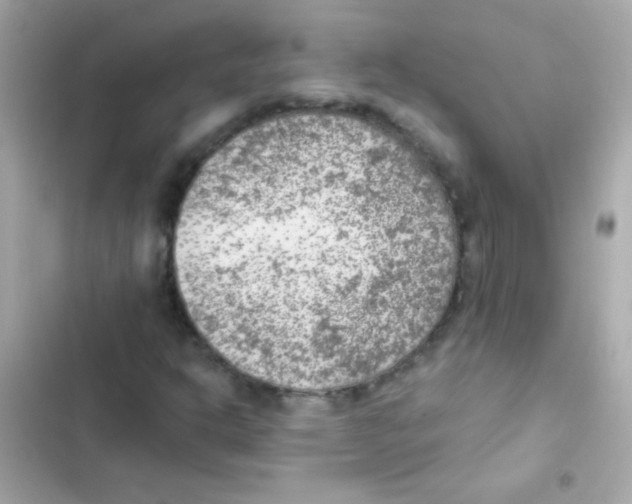 X0000103161302200809192044