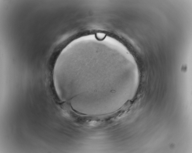 X0000103161303200809192044