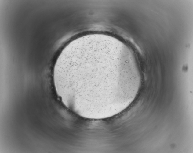 X0000103161304200809192044