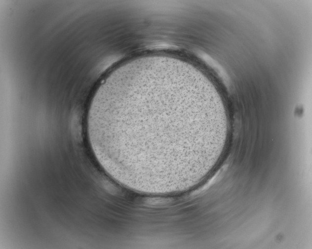 X0000103161305200809192044