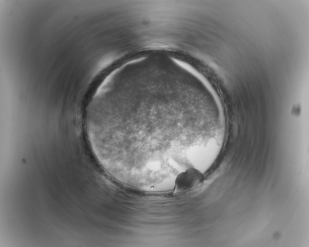 X0000103161306200809192044