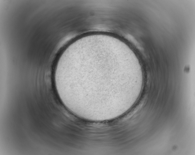 X0000103161307200809192044