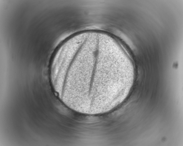 X0000103161308200809192044