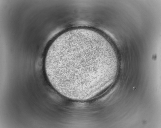 X0000103161309200809192044