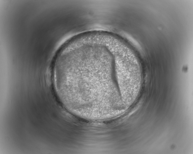 X0000103161310200809192044
