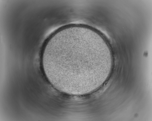 X0000103161311200809192044
