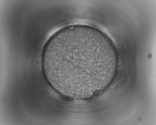 X0000103161312200809192044