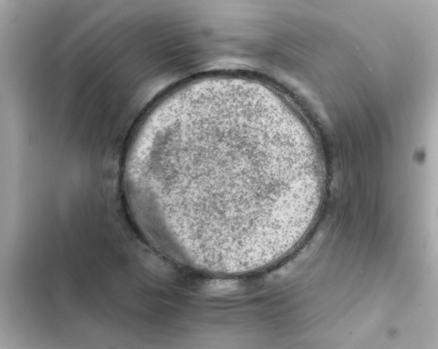 X0000103161313200809192044