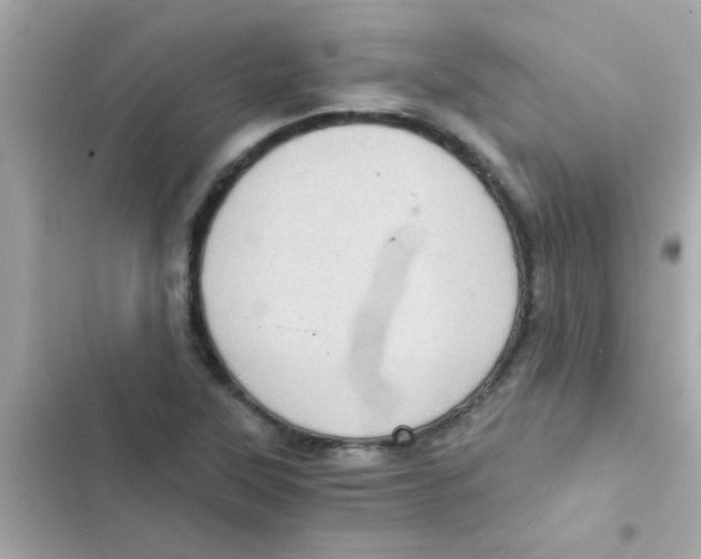 X0000103161315200809192044