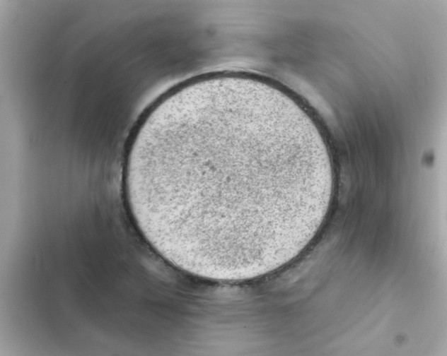 X0000103161316200809192044