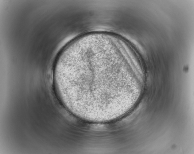 X0000103161317200809192044