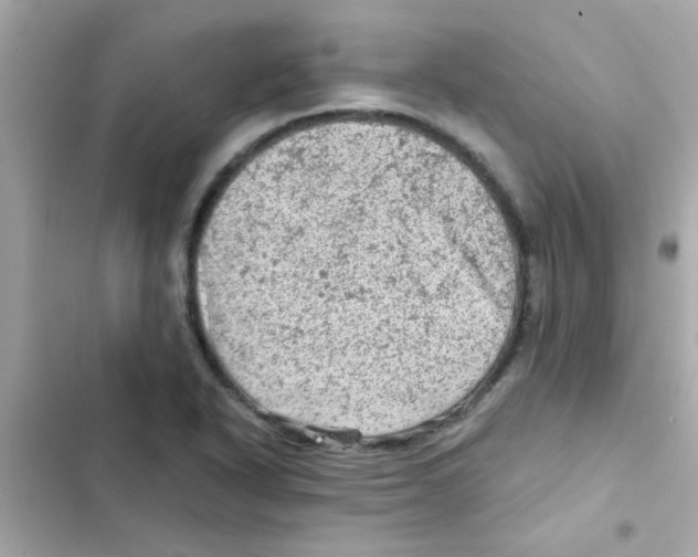 X0000103161318200809192044