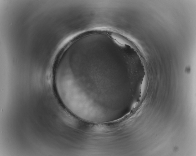 X0000103161319200809192044