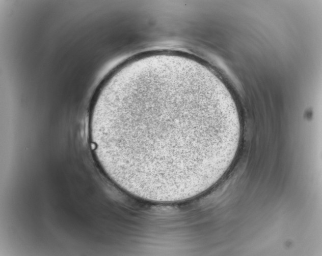 X0000103161320200809192044