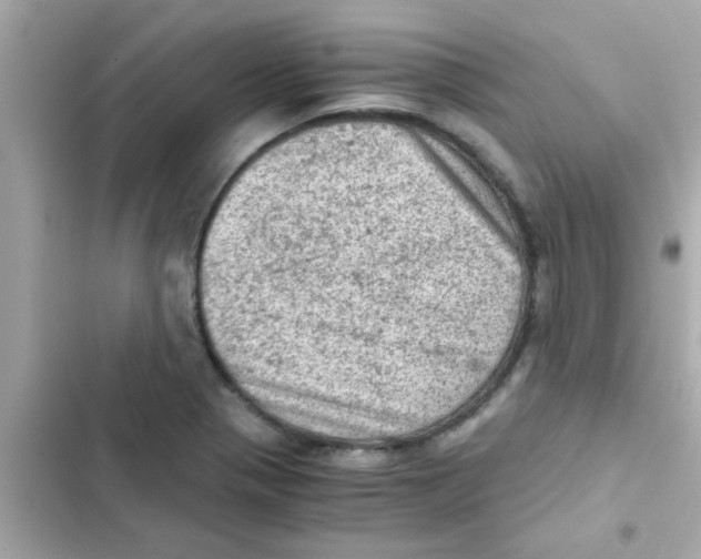 X0000103161321200809192044