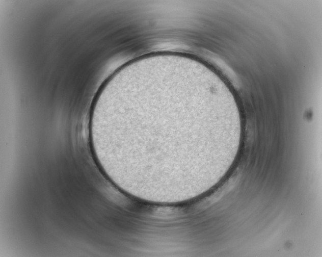 X0000103161322200809192044