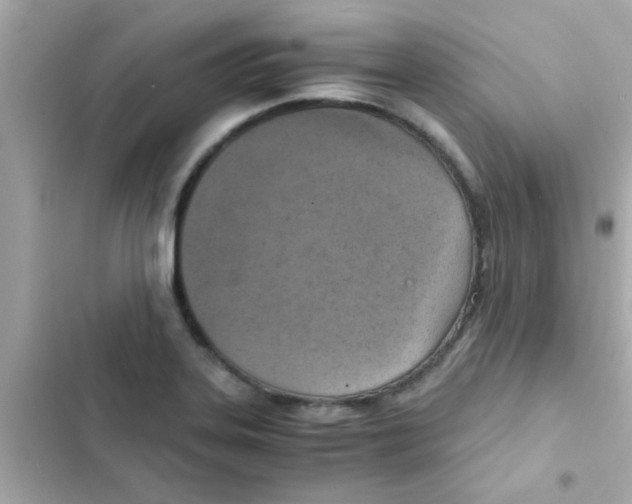 X0000103161323200809192044