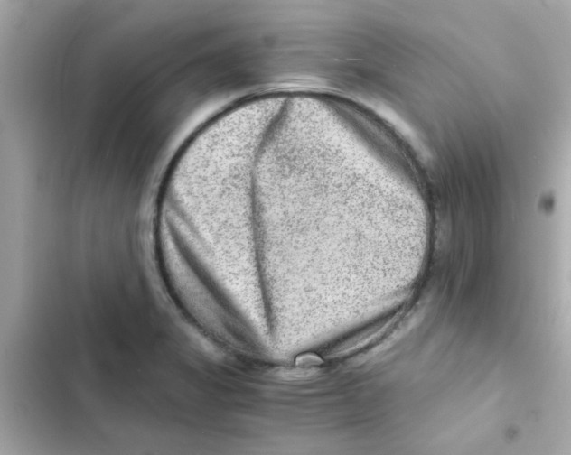 X0000103161325200809192044