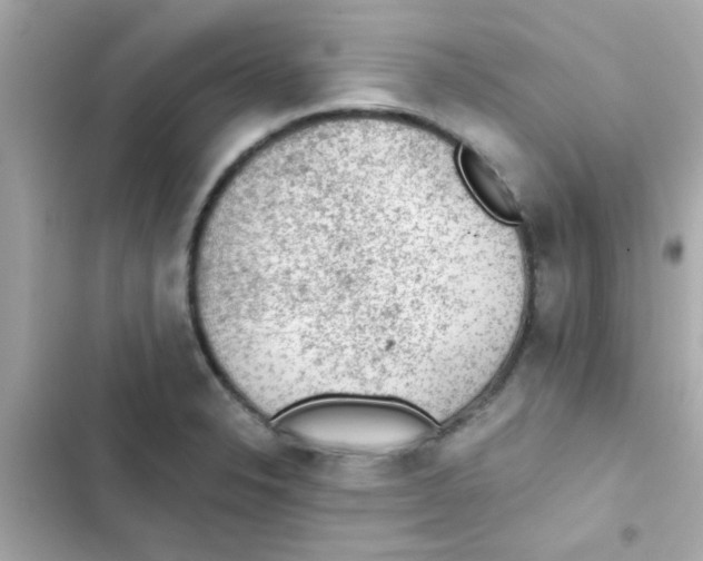 X0000103161326200809192044