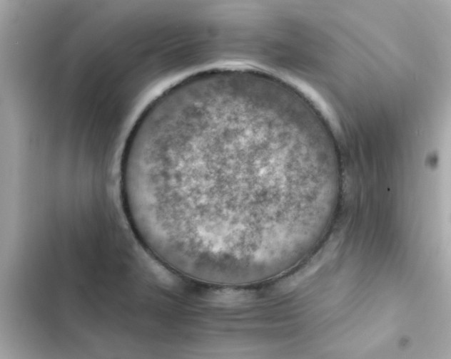 X0000103161327200809192044