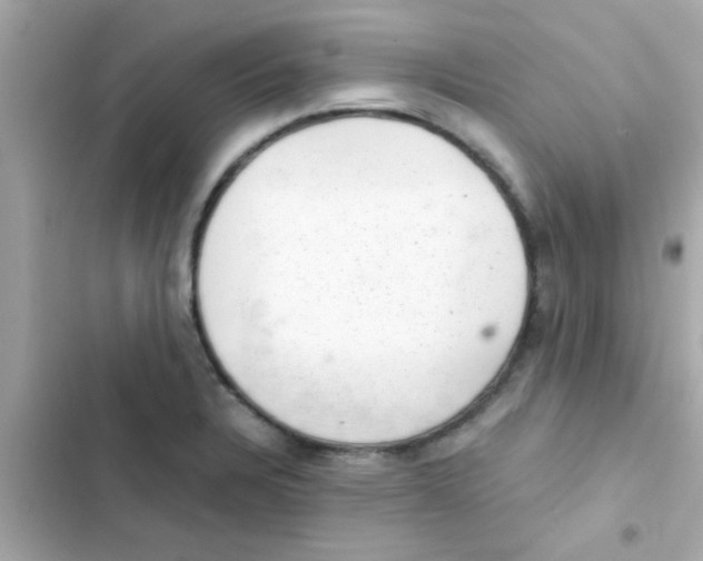 X0000103161328200809192044