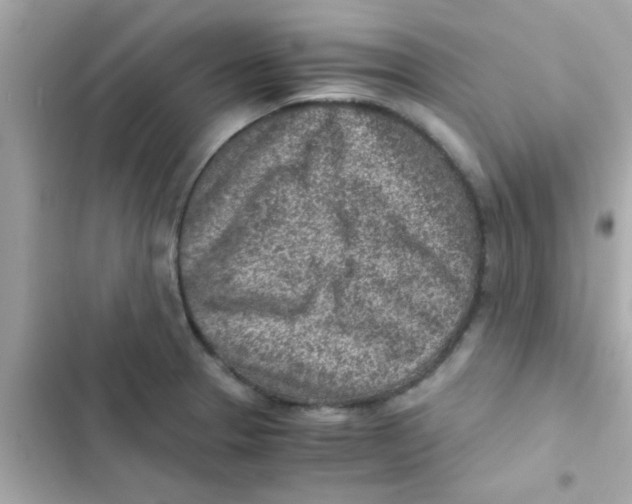 X0000103161329200809192044