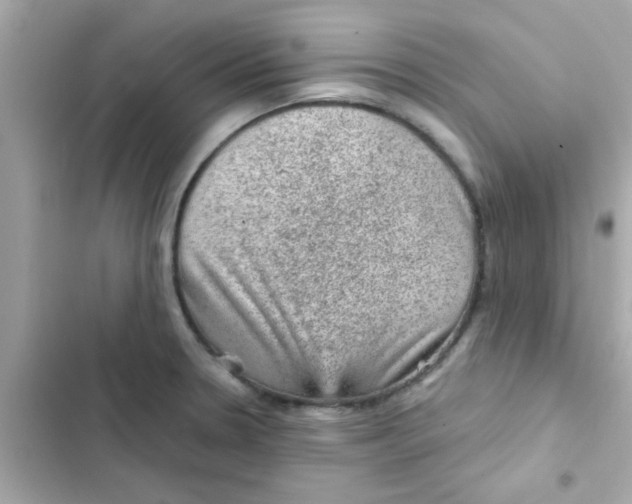 X0000103161330200809192044