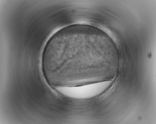 X0000103161331200809192044
