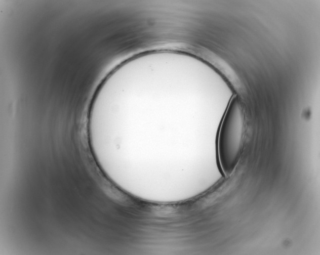 X0000103161332200809192044