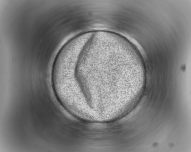X0000103161333200809192044