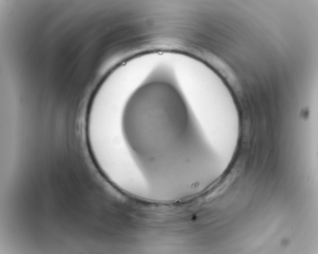 X0000103161334200809192044