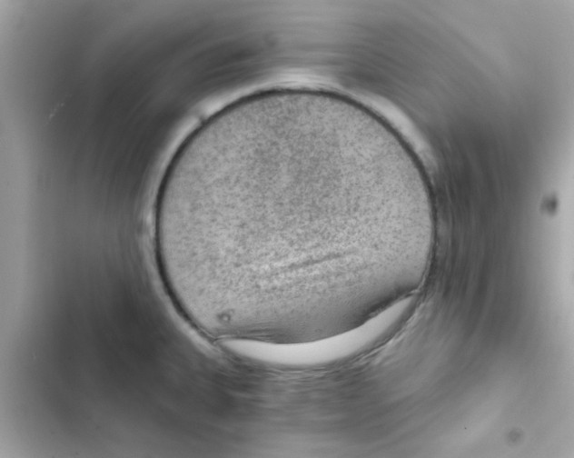 X0000103161335200809192044