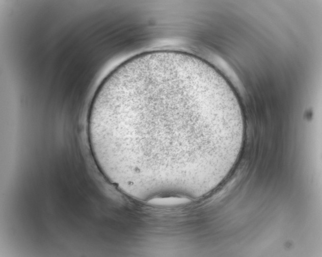 X0000103161336200809192044