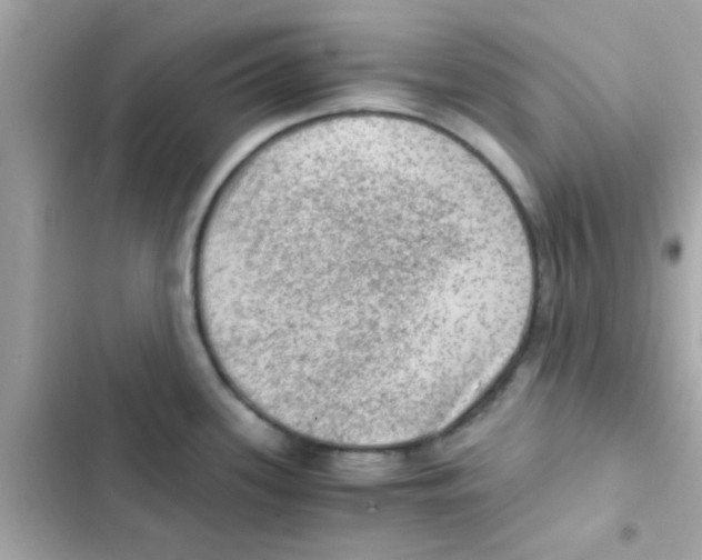 X0000103161339200809192044