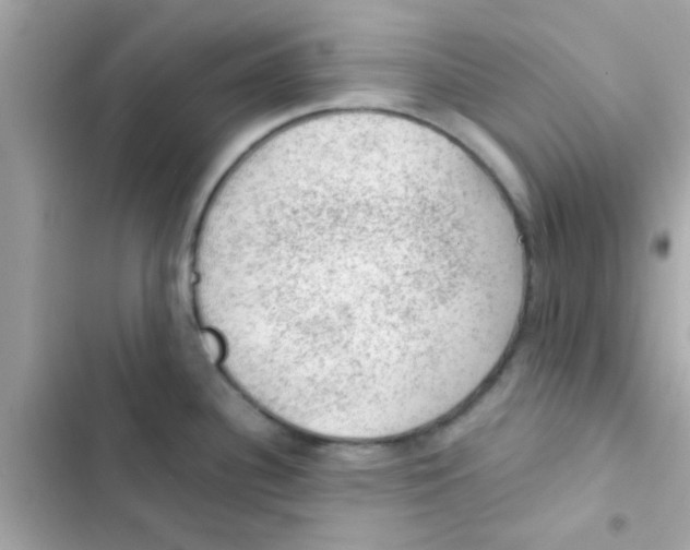 X0000103161340200809192044