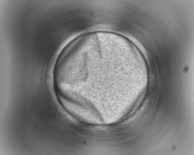 X0000103161341200809192044