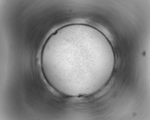 X0000103161342200809192044