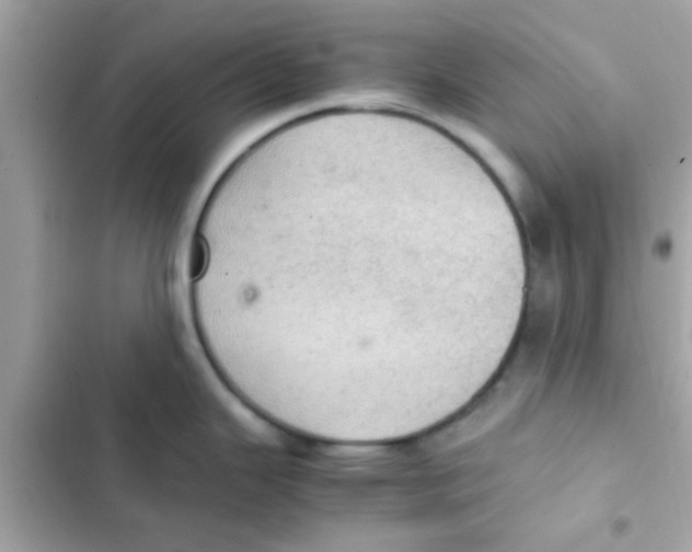 X0000103161343200809192044