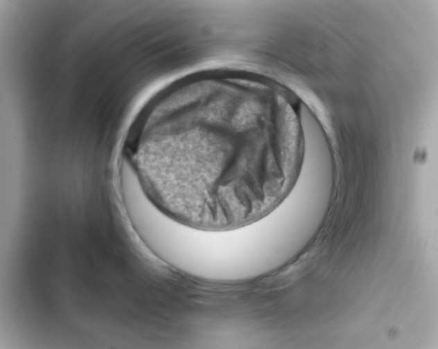 X0000103161344200809192045