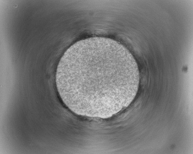 X0000103161345200809192044