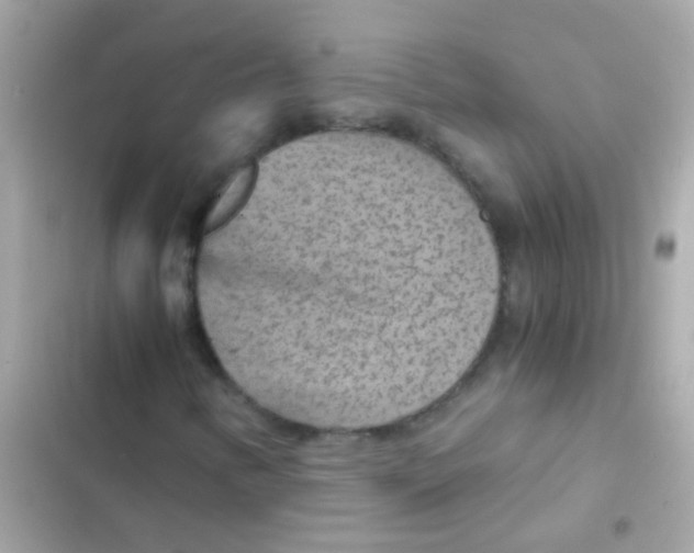 X0000103161346200809192044