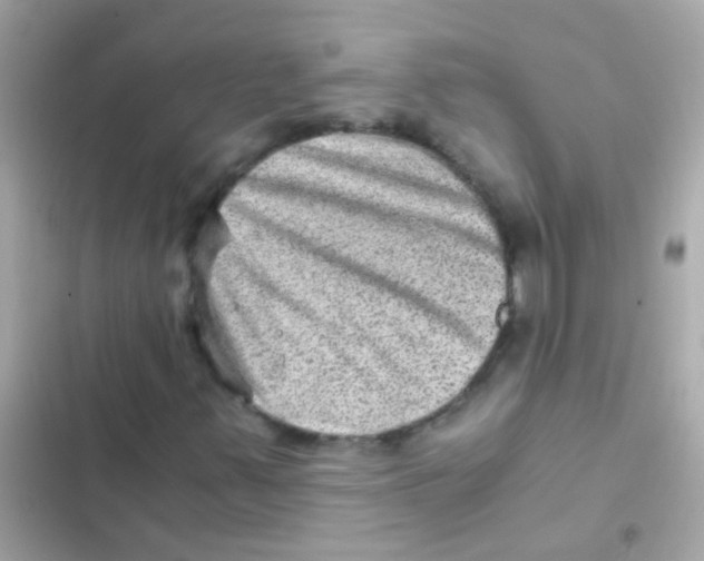 X0000103161347200809192044