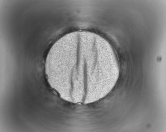 X0000103161349200809192044
