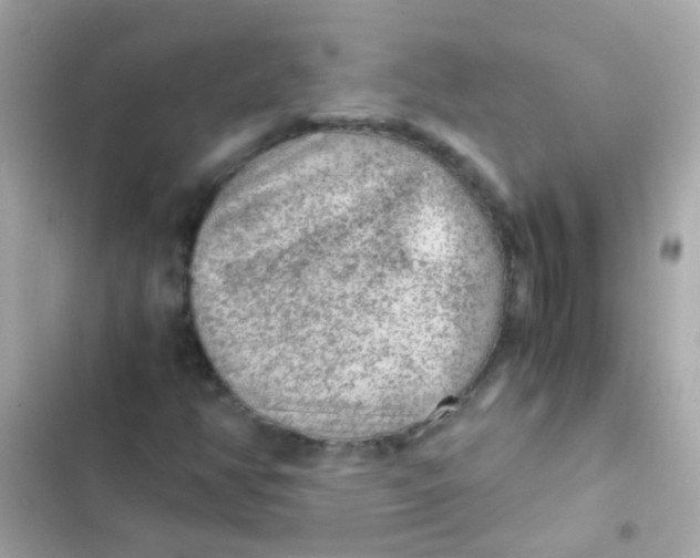 X0000103161350200809192043