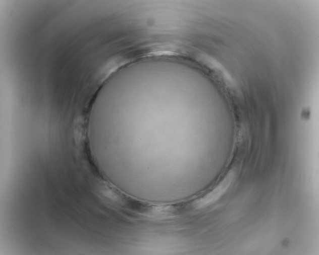 X0000103161353200809192043