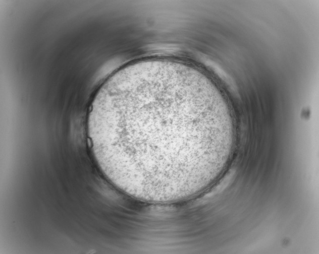 X0000103161354200809192043