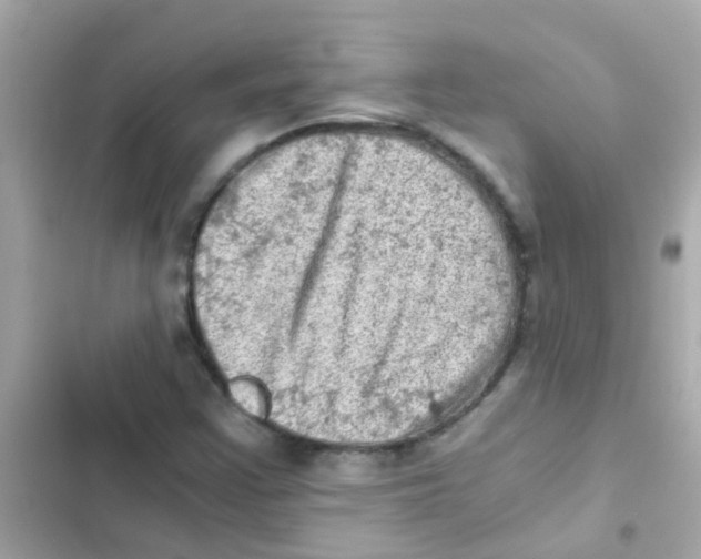 X0000103161355200809192043
